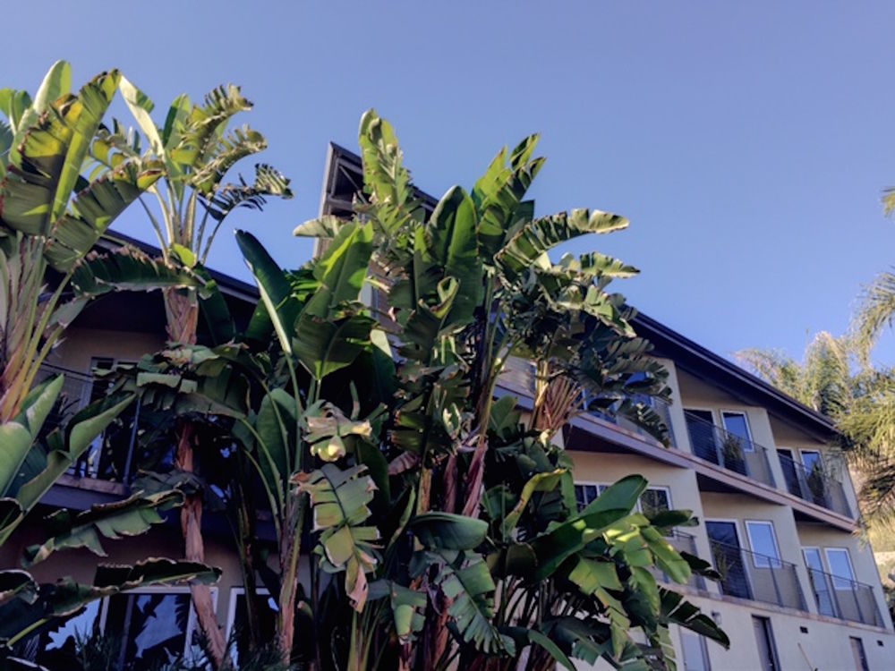 Motel The M Malibu Exterior foto